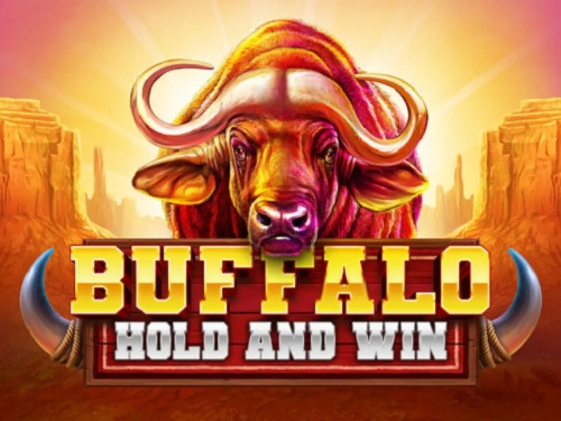 Buffalo Hold and Win