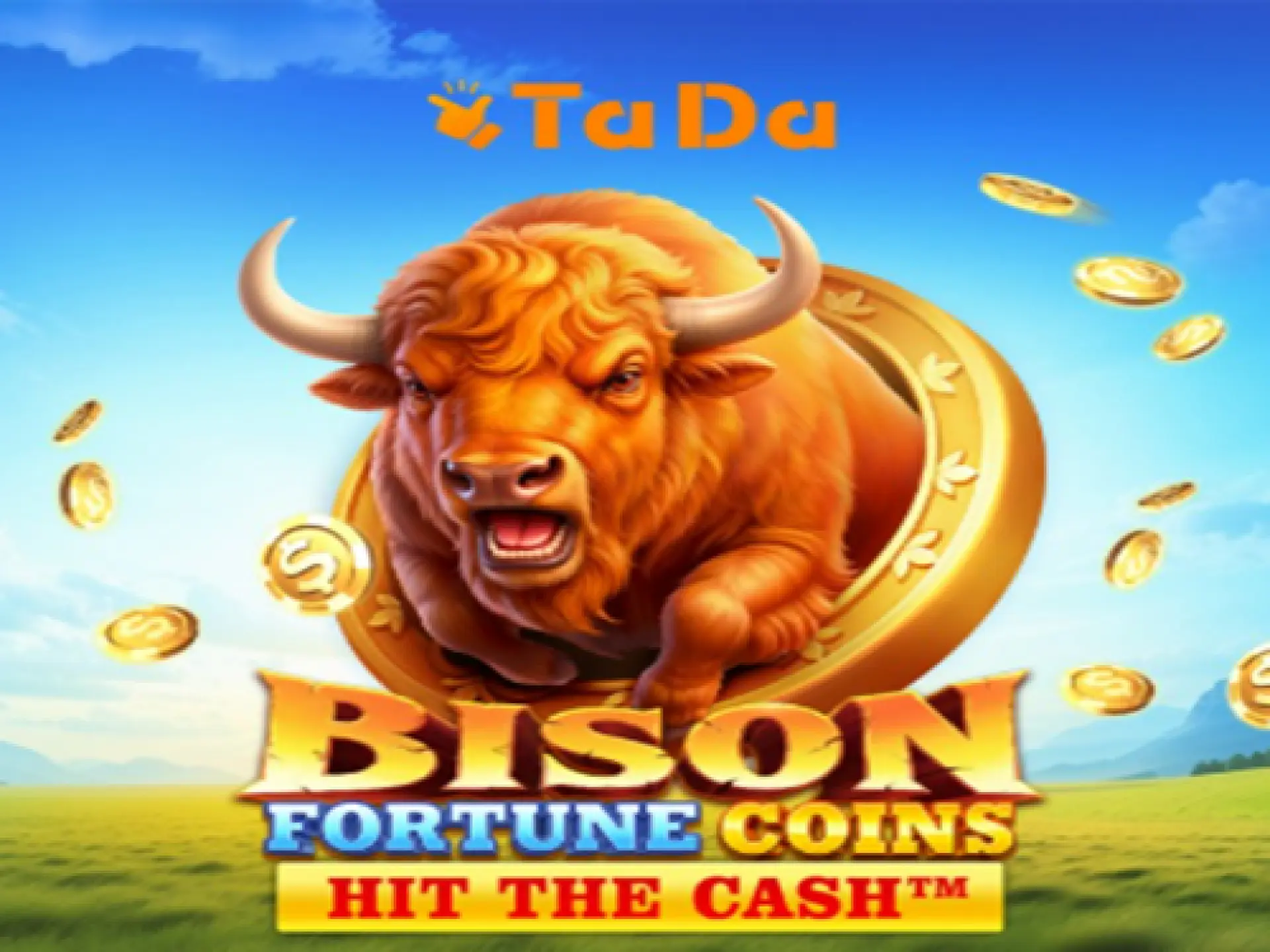 Bison Fortune Coins