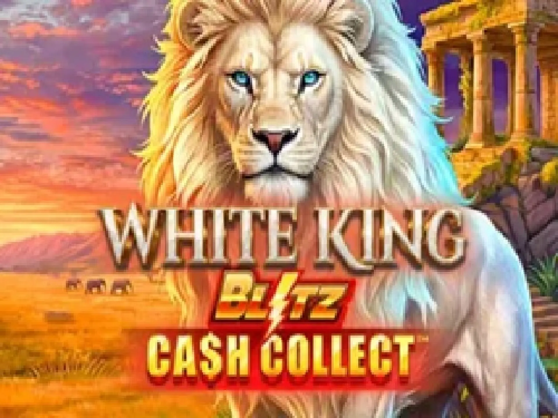 White King: Blitz Cash Collect 