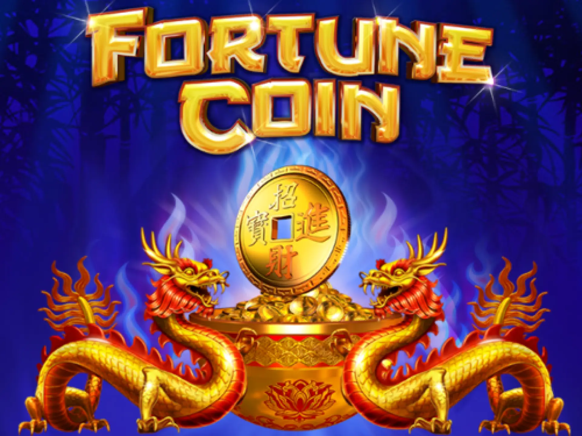 Fortune Coin