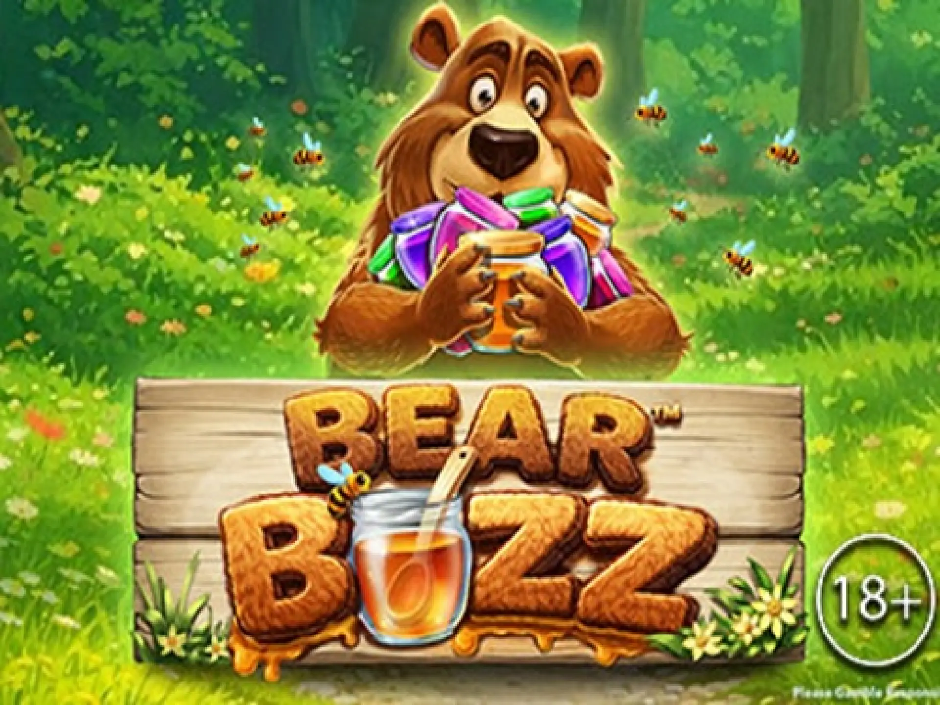 Bear Buzz