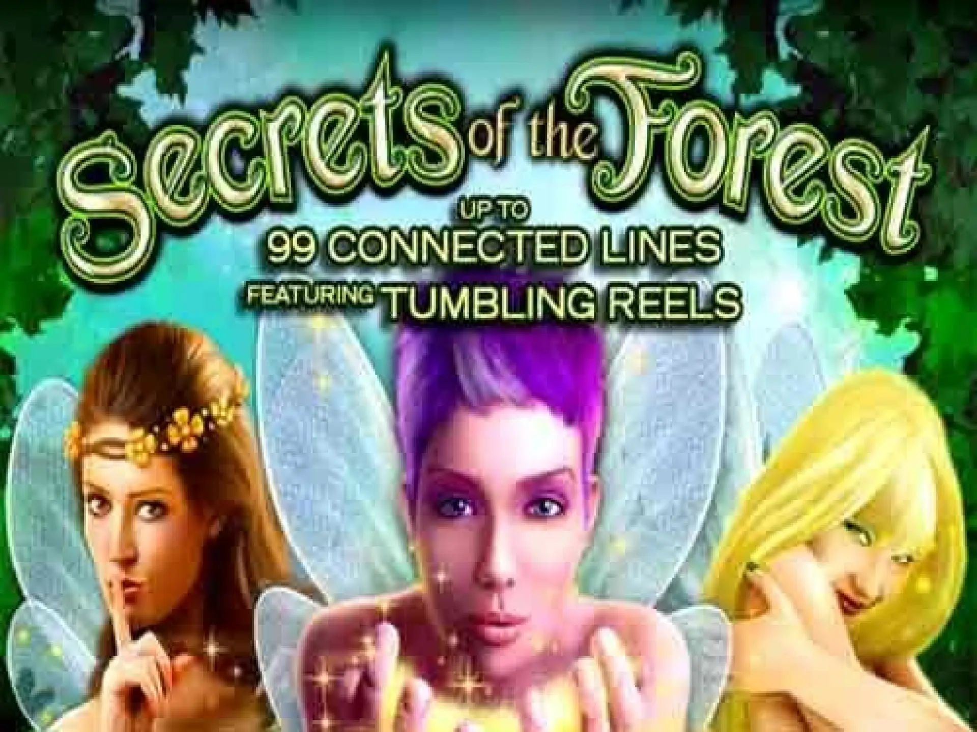 Secrets Of The Forest