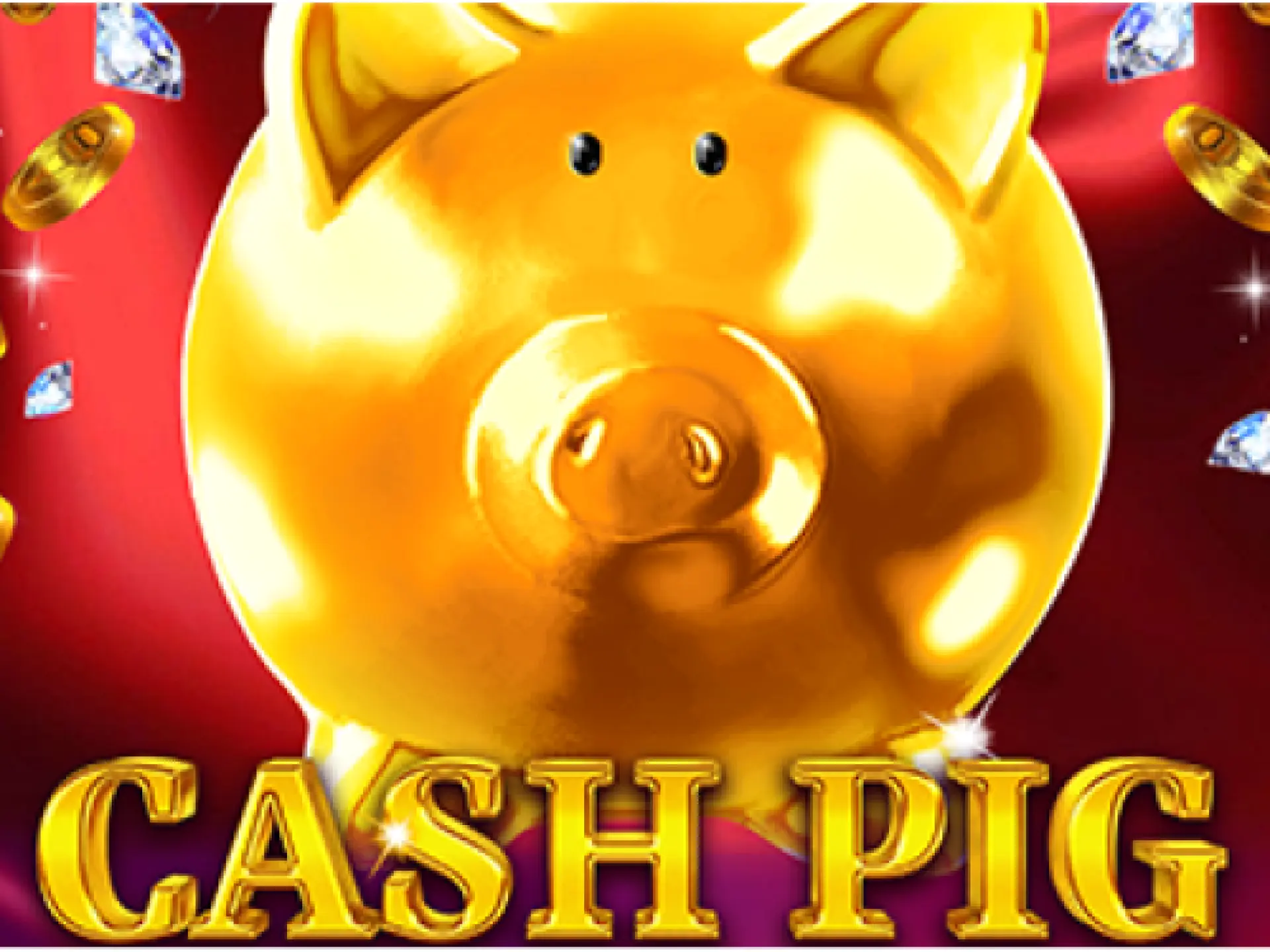 Cash Pig