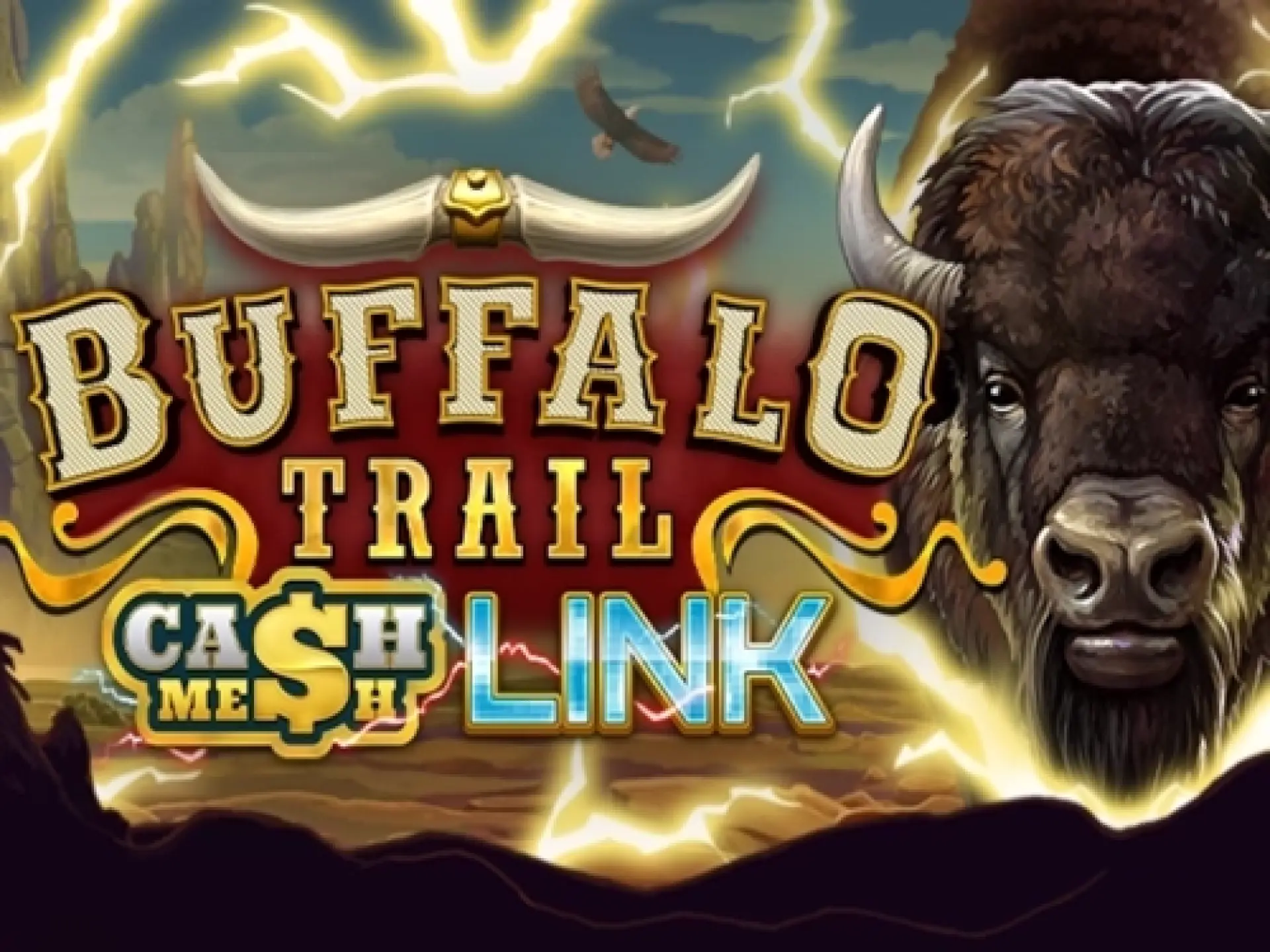 Buffalo Trail Cash Mesh Link