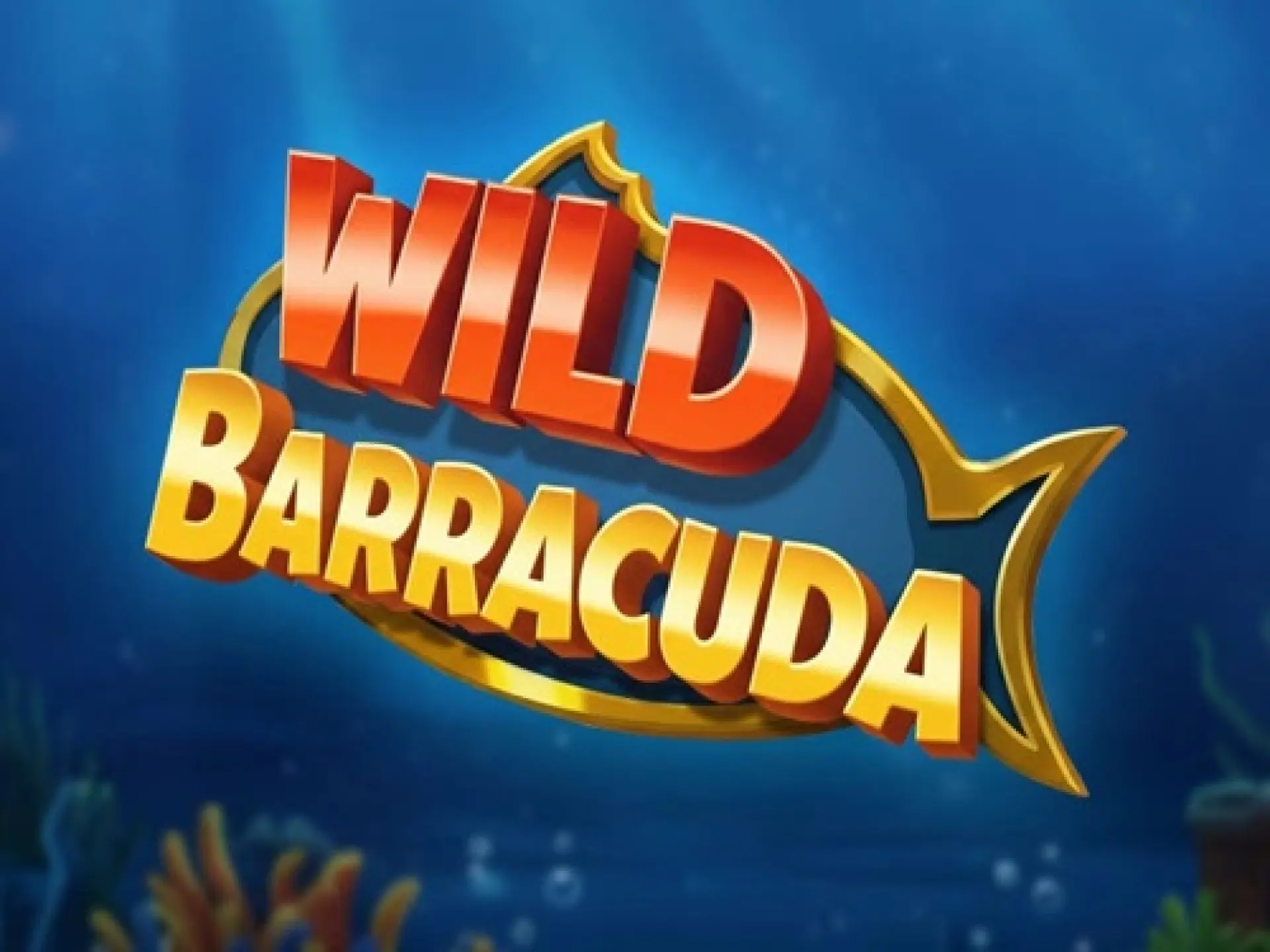 Wild Barracuda