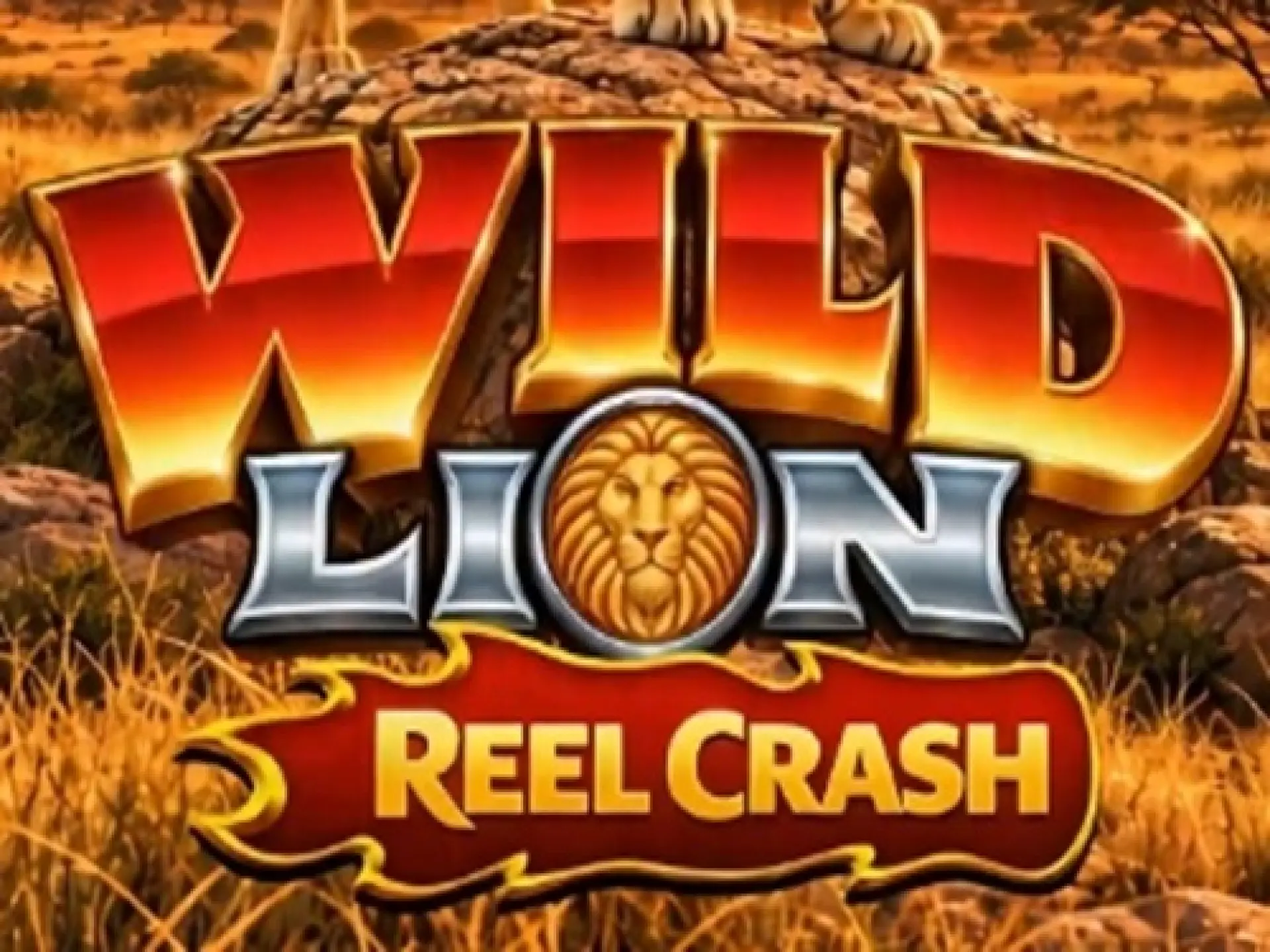 Wild Lion - Reel Crash